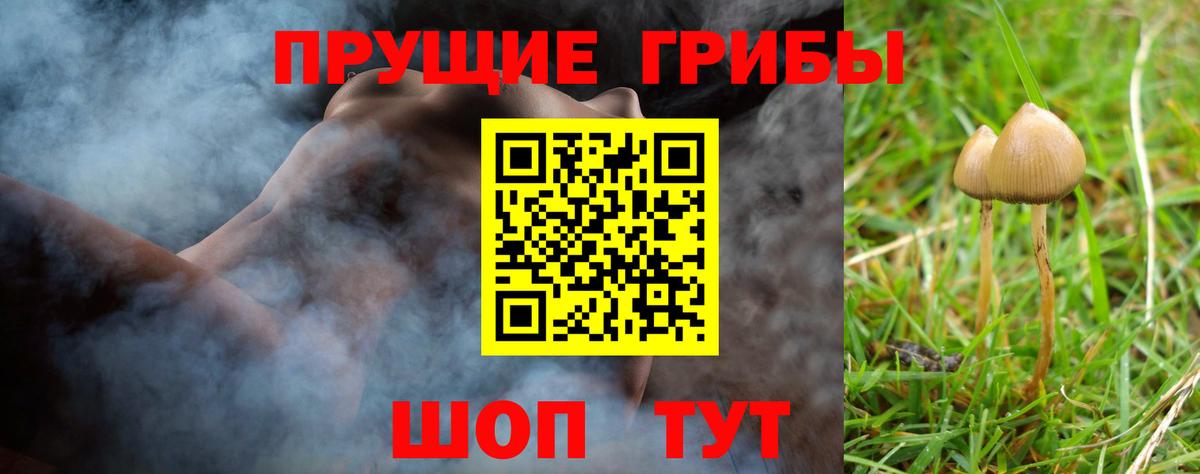Астрахань  Галлюциногенные грибы MAGIC MUSHROOMS  Вход с VPN 
